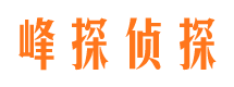 池州出轨取证